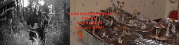 круглые Нягань