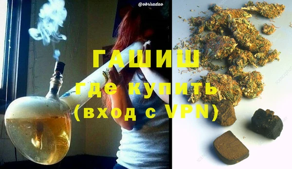 дживик Няндома