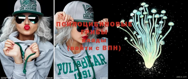 МДПВ Осташков