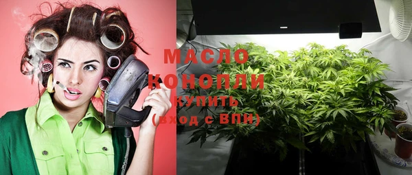 дживик Няндома