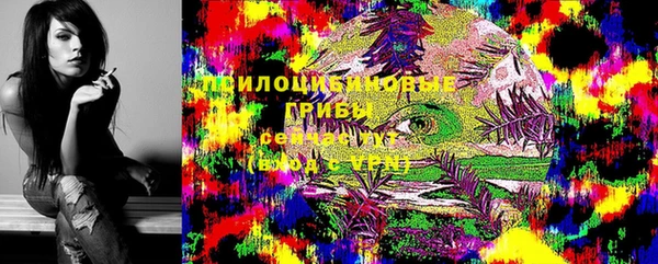 круглые Нягань