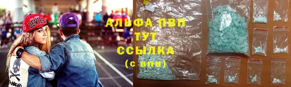дживик Няндома