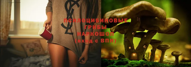 Псилоцибиновые грибы Magic Shrooms  купить  цена  OMG сайт  Мосальск 